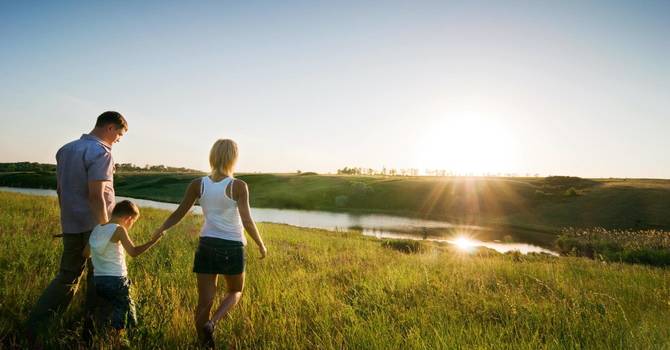 Shockwave Therapy: A Breakthrough Solution for Pain Relief in Jupiter