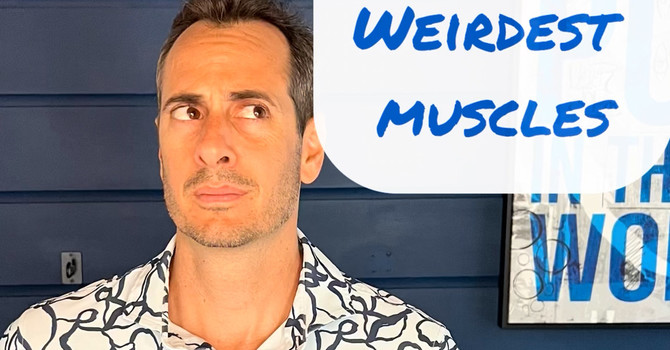 Top 10 Weirdest Muscles— And Why They Matter