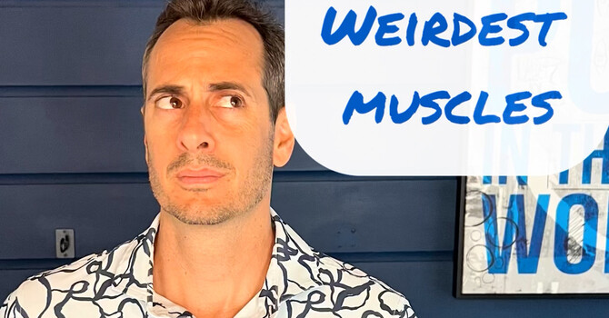Top 10 Weirdest Muscles— And Why They Matter image