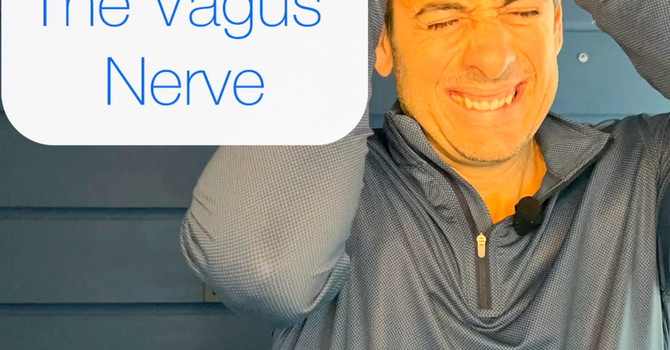 The Vagus Nerve. Master Regulator of Stress and Recovery